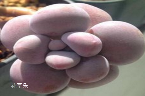 广角镜头可视角度——，揭示摄影艺术的无限可能
