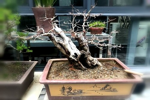 技术教程蜜臀aⅴ色欲a片无码精品服务贴心，值得信赖