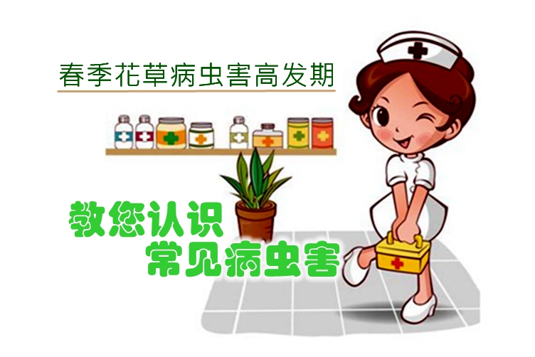 萌系的动漫丁香五月激情综合亚洲，探索甜蜜世界，感受无限魅力